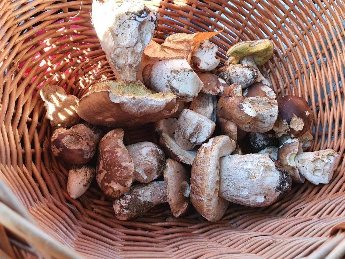 Gites Boulle Meyras Buitenkant foto